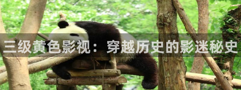 九七年电影院在线观看免费