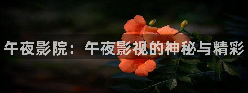 九七电影院_97手机电影网手机版
