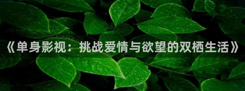 97影院九七