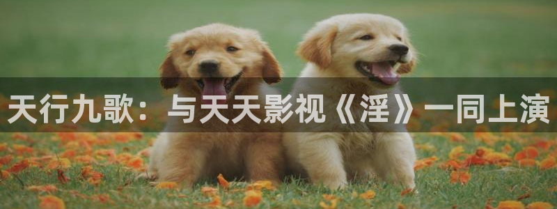 九七电影免费观看高清