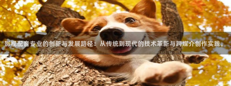 九七电影 午夜影院
