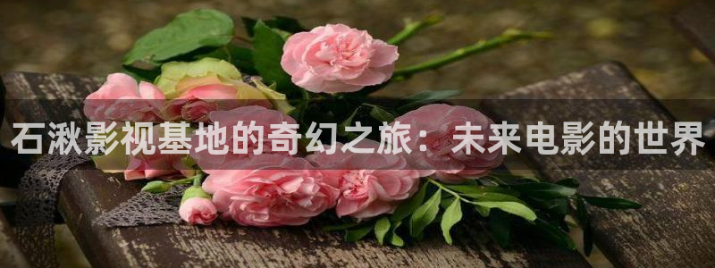 韩国女主播九七电影院