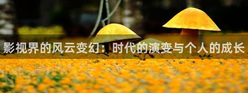 九七影院手机版观看免费