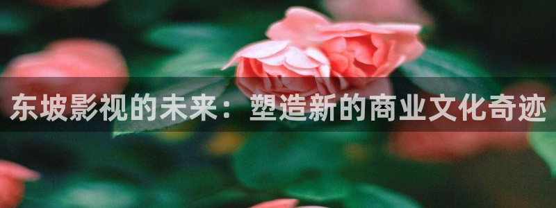 九七电影院微信版：东坡影视的未来：塑造新的商业文化奇迹